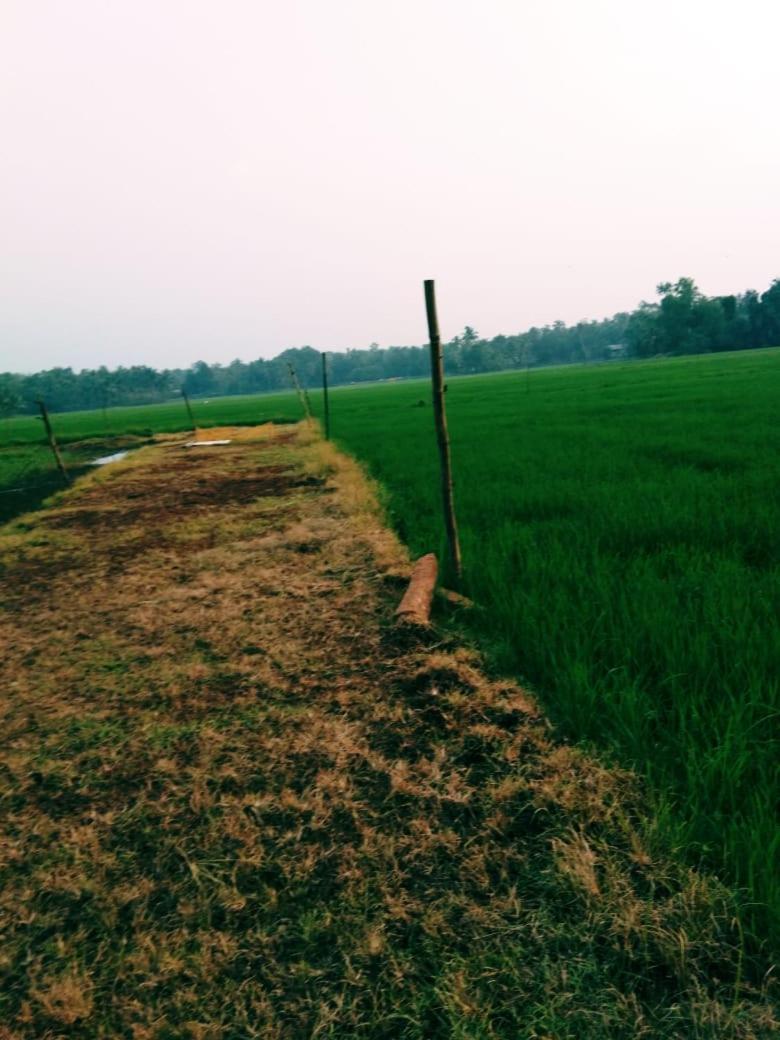 Thomman'S Farm Stayコッタヤム エクステリア 写真